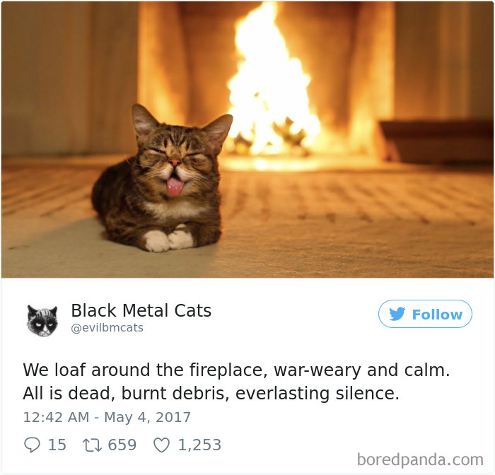 Black-metal-cats-lyrics-tweets