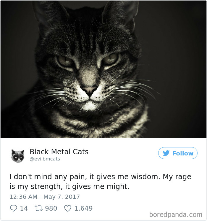 Black-metal-cats-lyrics-tweets