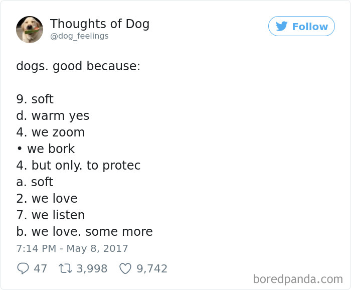 Dog Thoughts