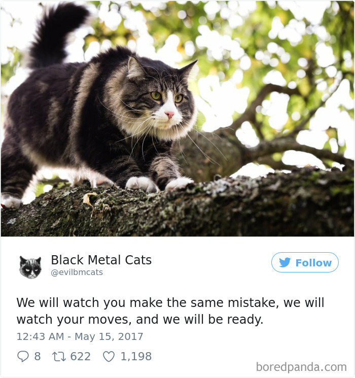 Black-metal-cats-lyrics-tweets