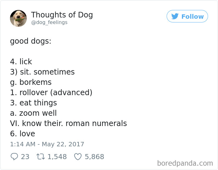 Dog Thoughts