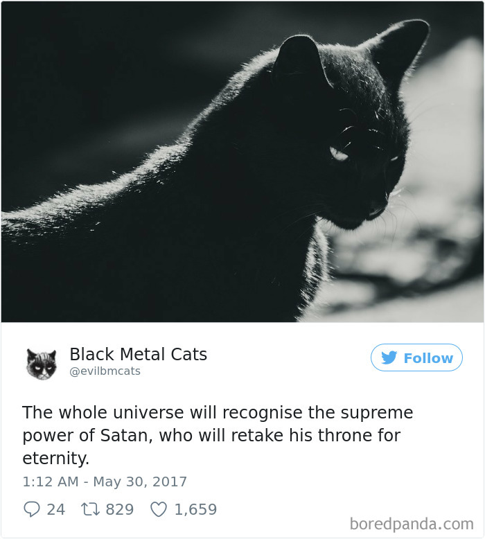 Black-metal-cats-lyrics-tweets