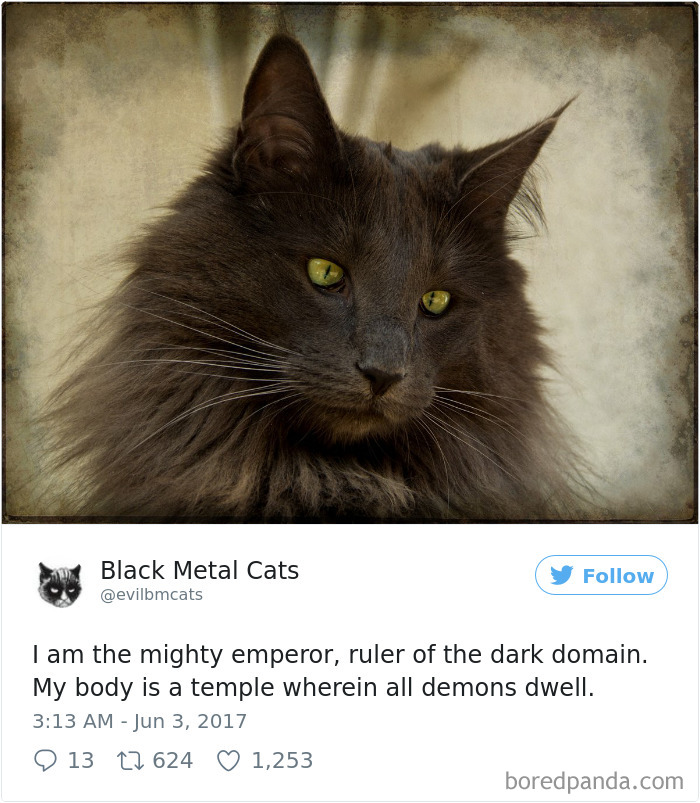 Black-metal-cats-lyrics-tweets