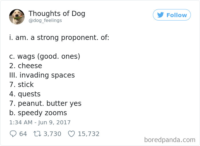Dog Thoughts