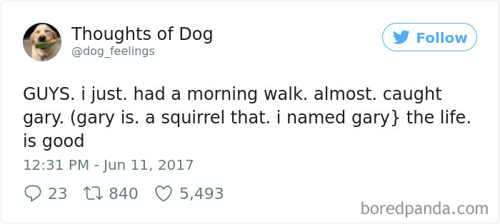 Dog Thoughts
