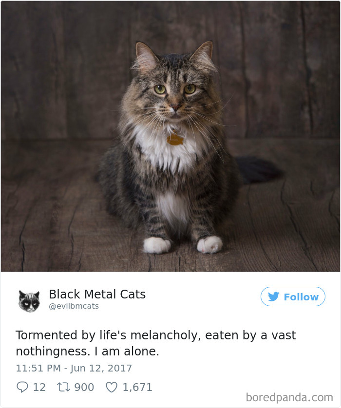 Black-metal-cats-lyrics-tweets