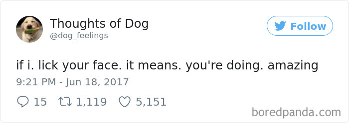 Dog Thoughts