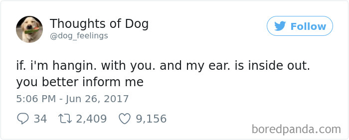 Dog Thoughts
