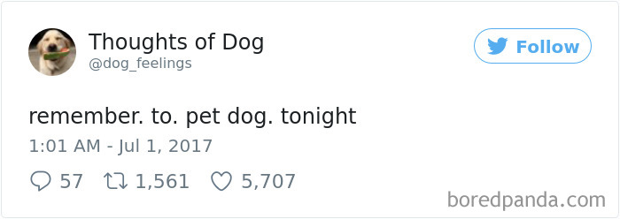 Dog Thoughts