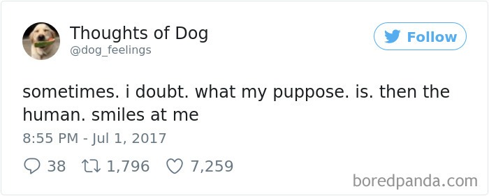Dog Thoughts