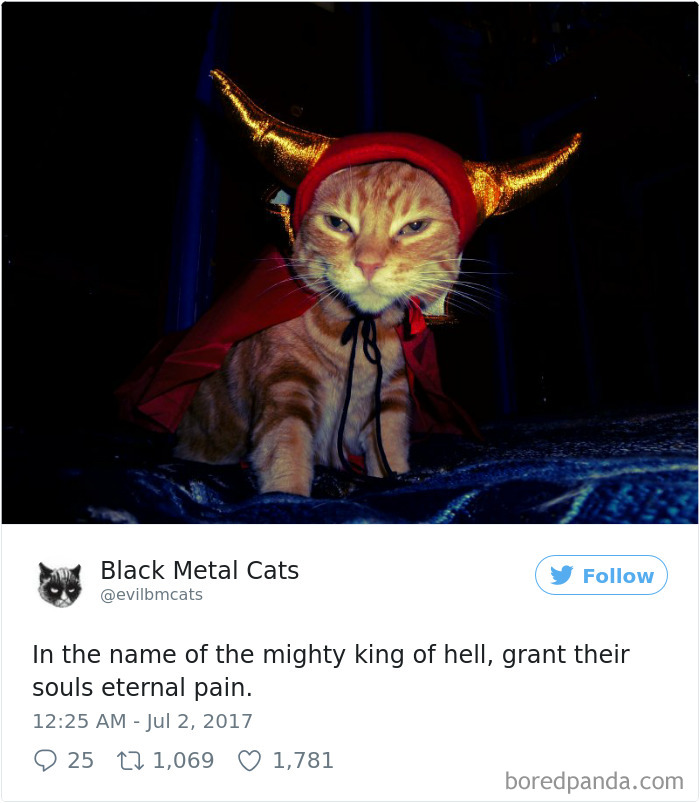 Black-metal-cats-lyrics-tweets