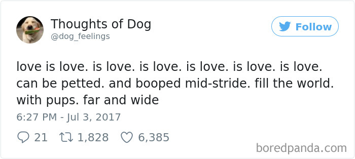 Dog Thoughts