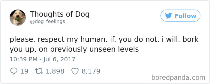 Dog Thoughts