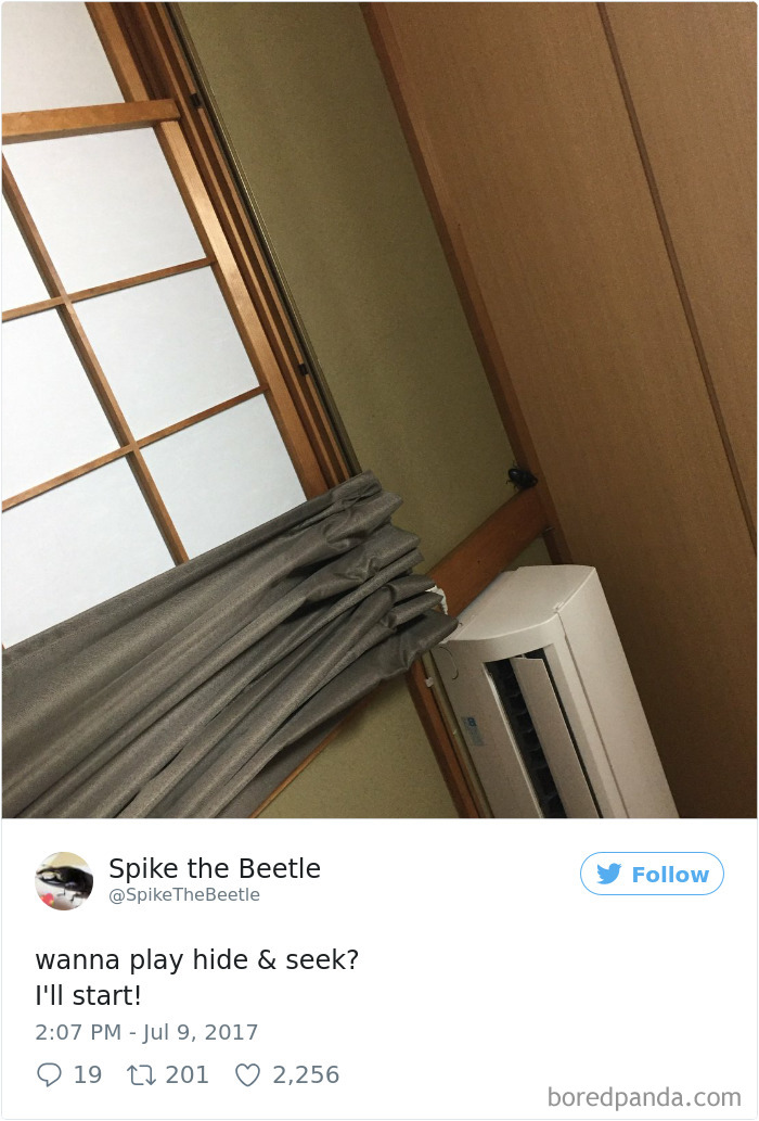 Drawing-bug-spike-the-beetle-japan