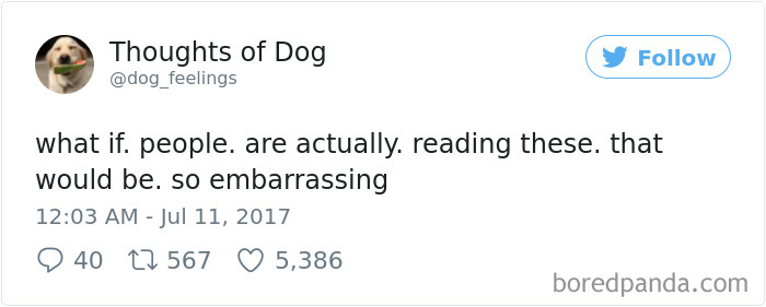 Dog Thoughts