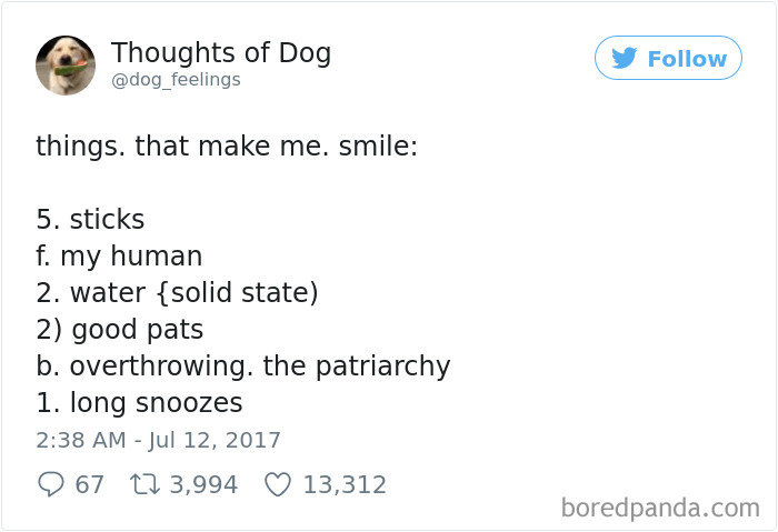 Dog Thoughts