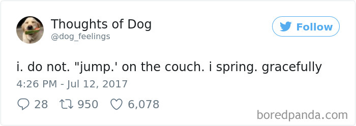 Dog Thoughts