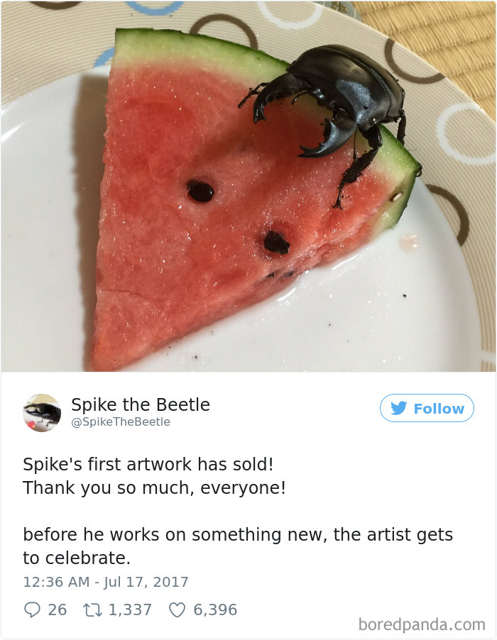 Drawing-bug-spike-the-beetle-japan