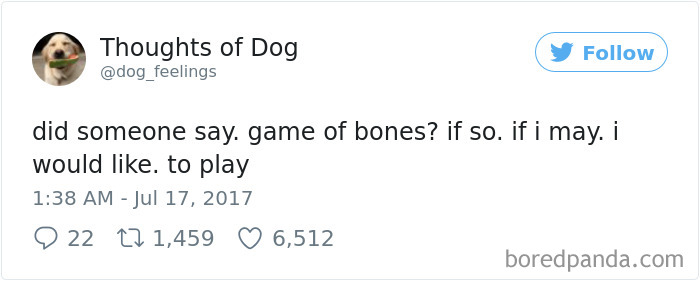 Dog Thoughts
