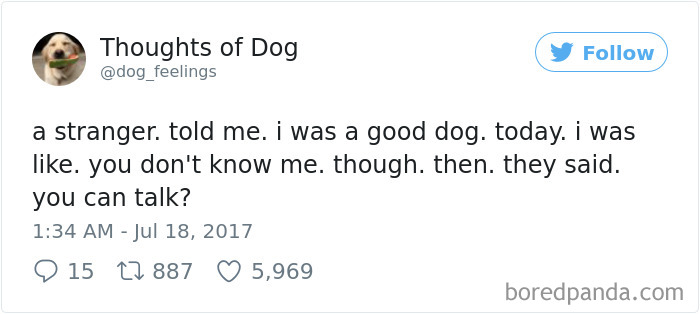 Dog Thoughts