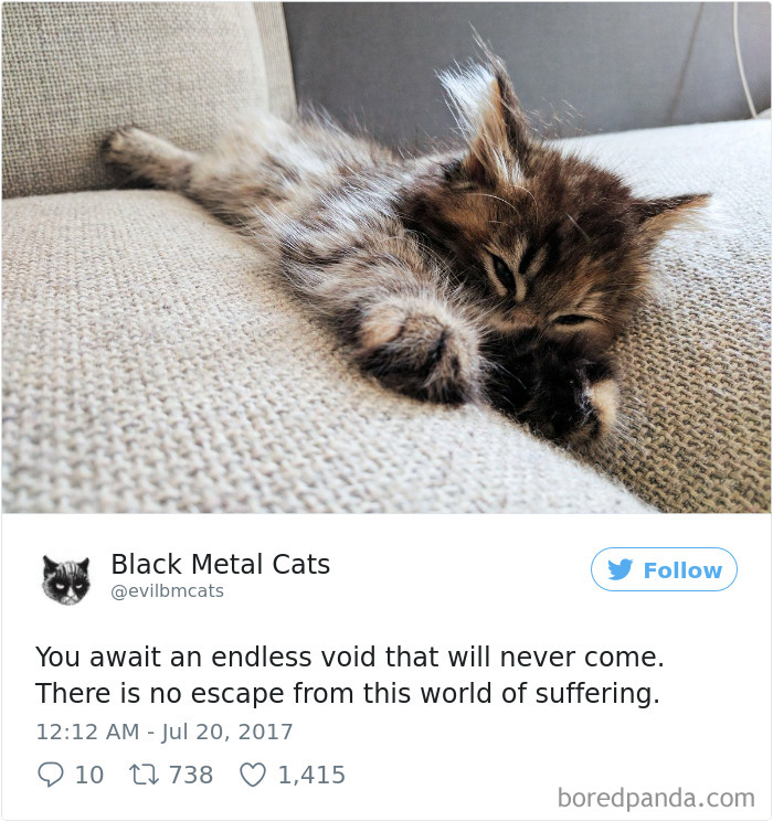Black-metal-cats-lyrics-tweets