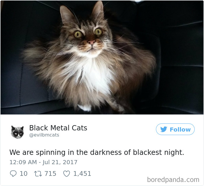 Black-metal-cats-lyrics-tweets