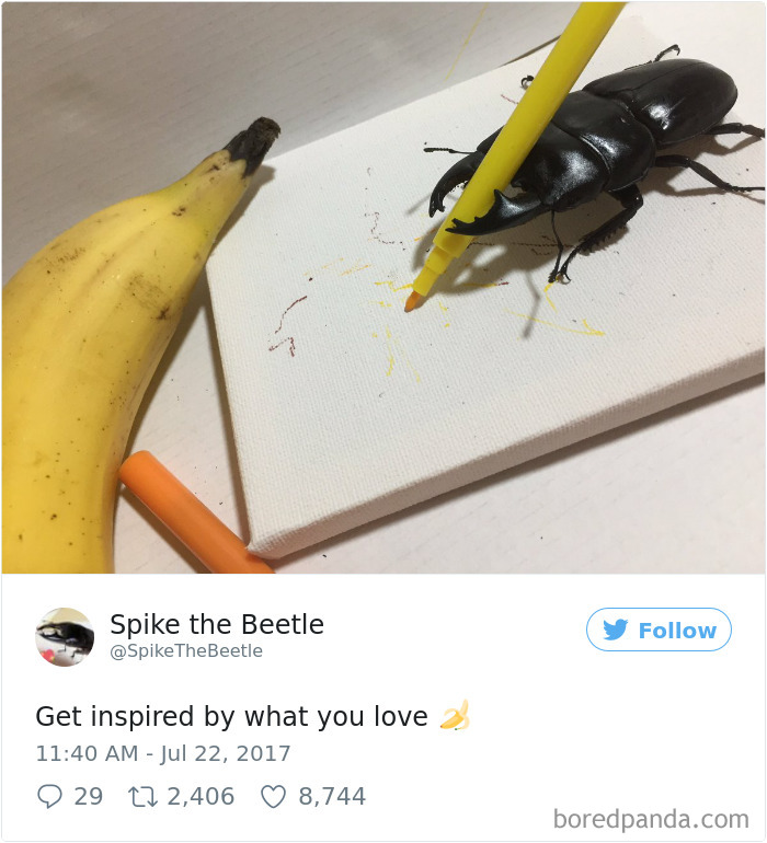 Drawing-bug-spike-the-beetle-japan