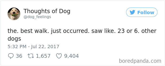 Dog Thoughts