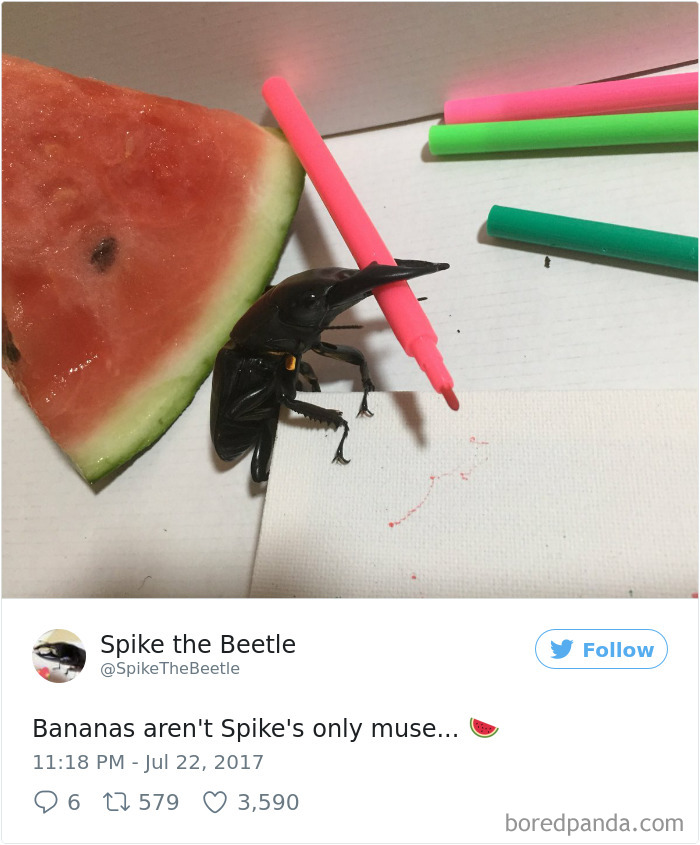 Drawing-bug-spike-the-beetle-japan