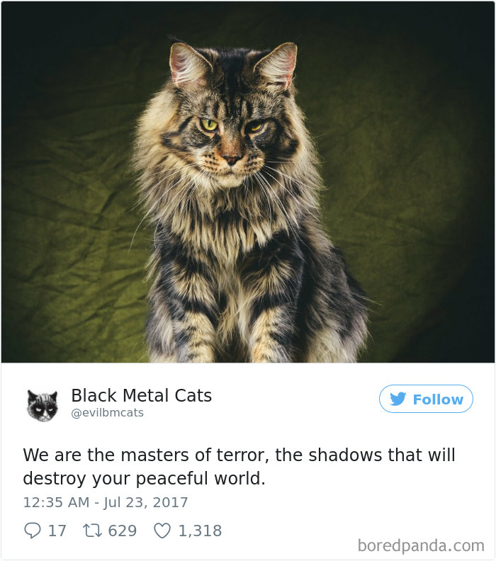 Black-metal-cats-lyrics-tweets