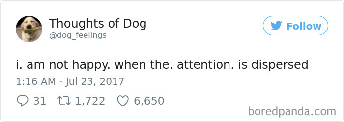 Dog Thoughts