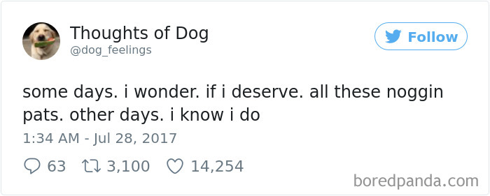 Dog Thoughts