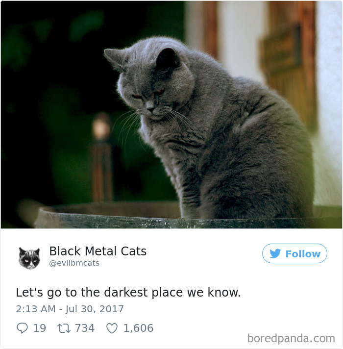 Black-metal-cats-lyrics-tweets