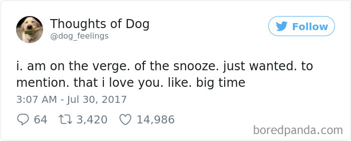Dog Thoughts