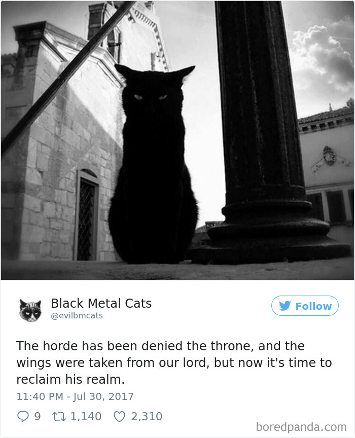 Black-metal-cats-lyrics-tweets