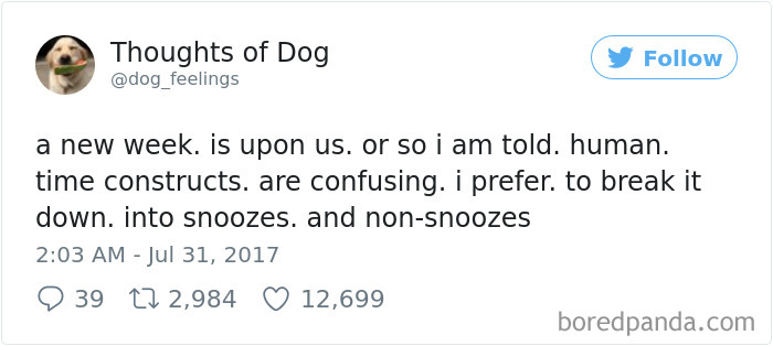 Dog Thoughts