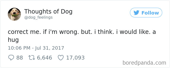 Dog Thoughts