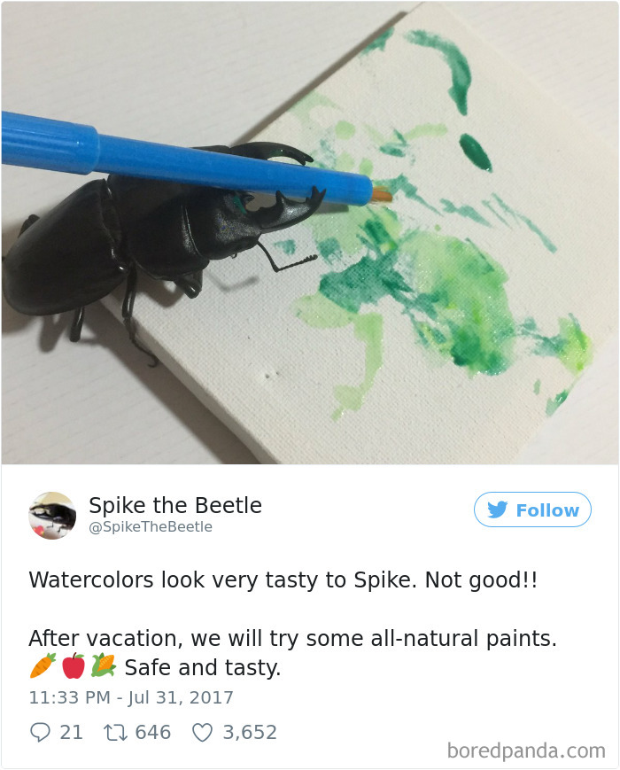 Drawing-bug-spike-the-beetle-japan