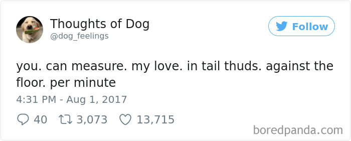 Dog Thoughts