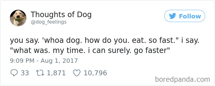Dog Thoughts