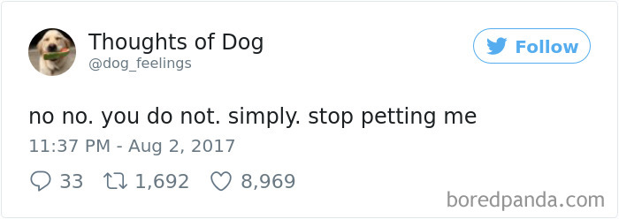 Dog Thoughts