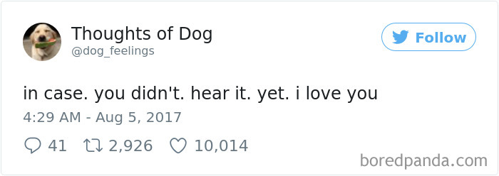 Dog Thoughts