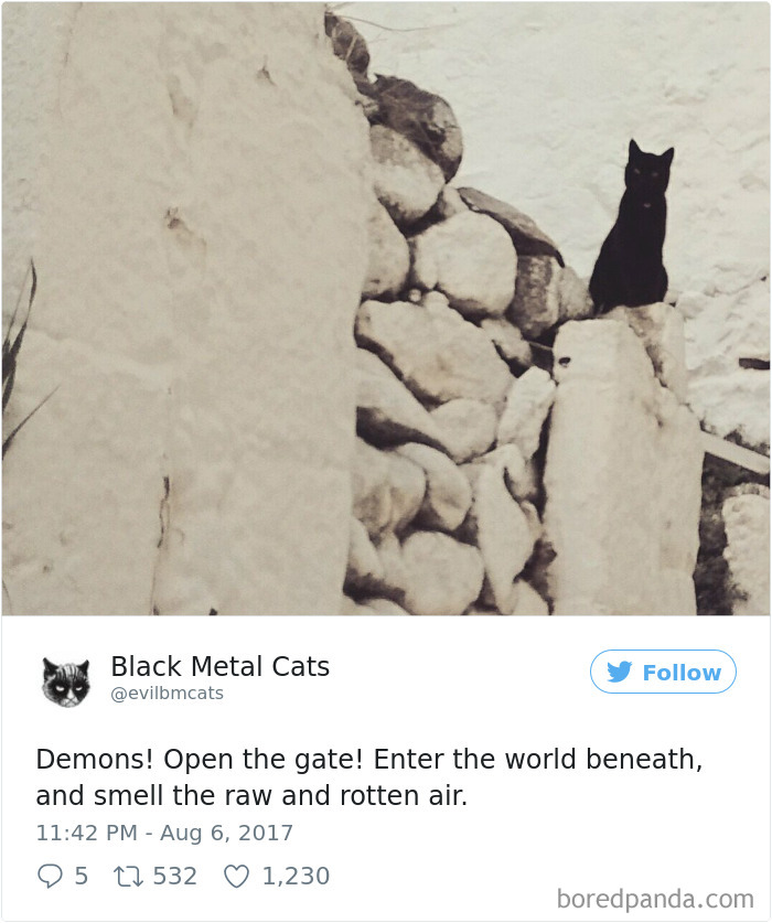 Black-metal-cats-lyrics-tweets