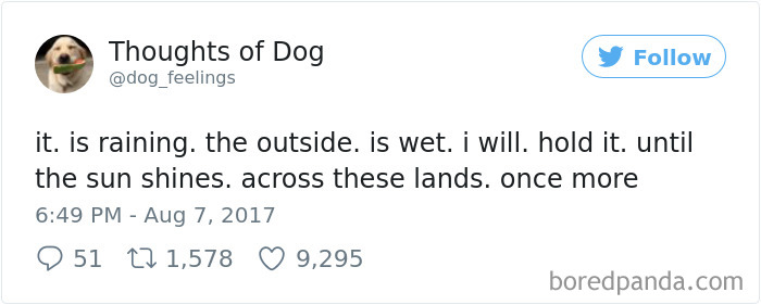 Dog Thoughts