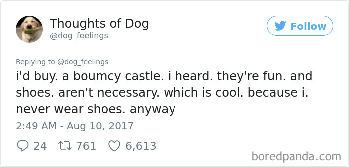 Dog Thoughts
