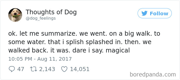 Dog Thoughts