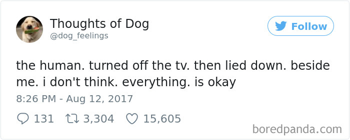 Dog Thoughts