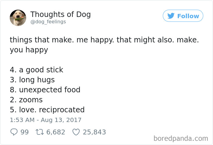 Dog Thoughts