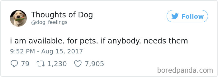 Dog Thoughts
