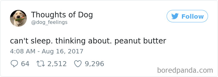 Dog Thoughts
